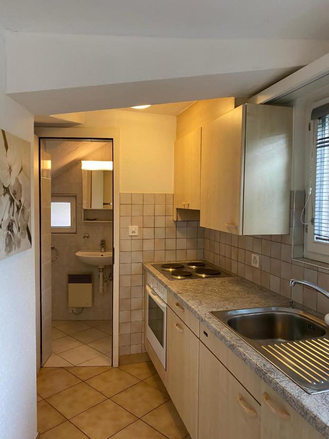 Casa Sibylle Studio - Piccolo Paradiso Minusio Luaran gambar