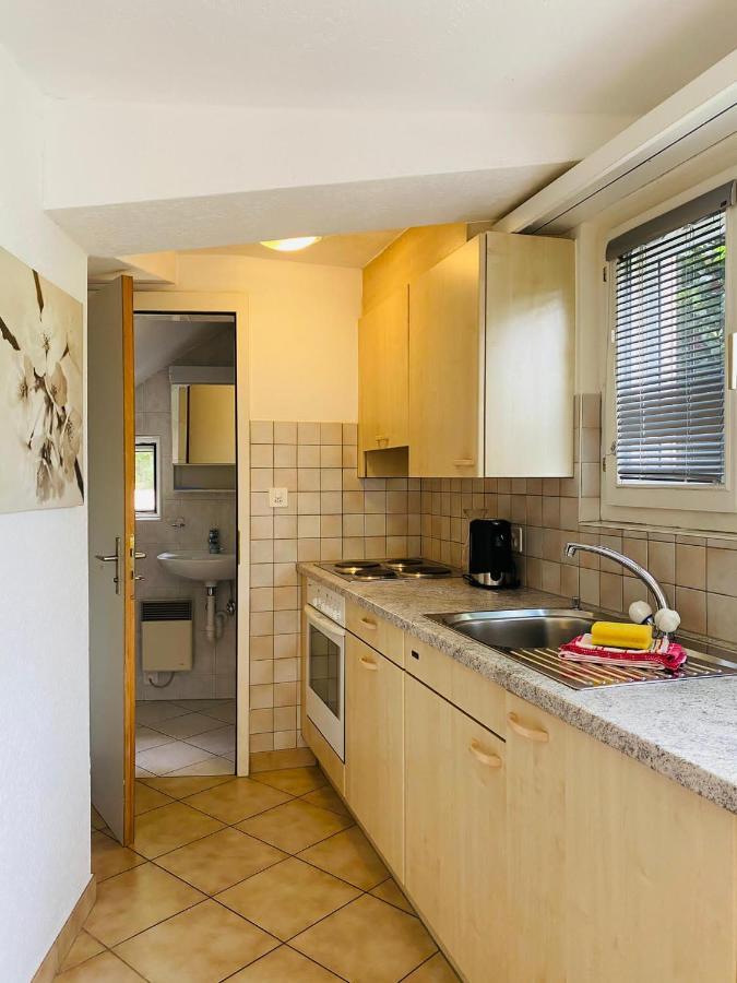 Casa Sibylle Studio - Piccolo Paradiso Minusio Luaran gambar